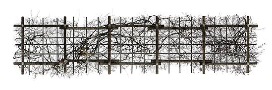SOMA / Andreas Gefeller　アンドレアス・ゲフェラー 2024.7.21 ▽ONLINE STORE UPDATE Soma / Andreas Gefeller